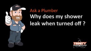 ask a plumber why does shower leak when turned off